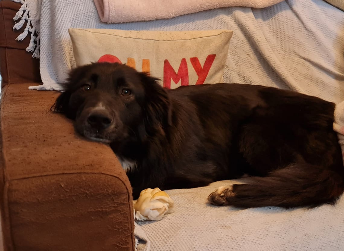 Settling in well