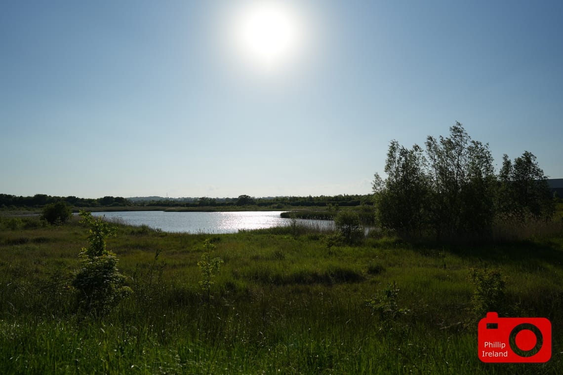 Out at the Lake