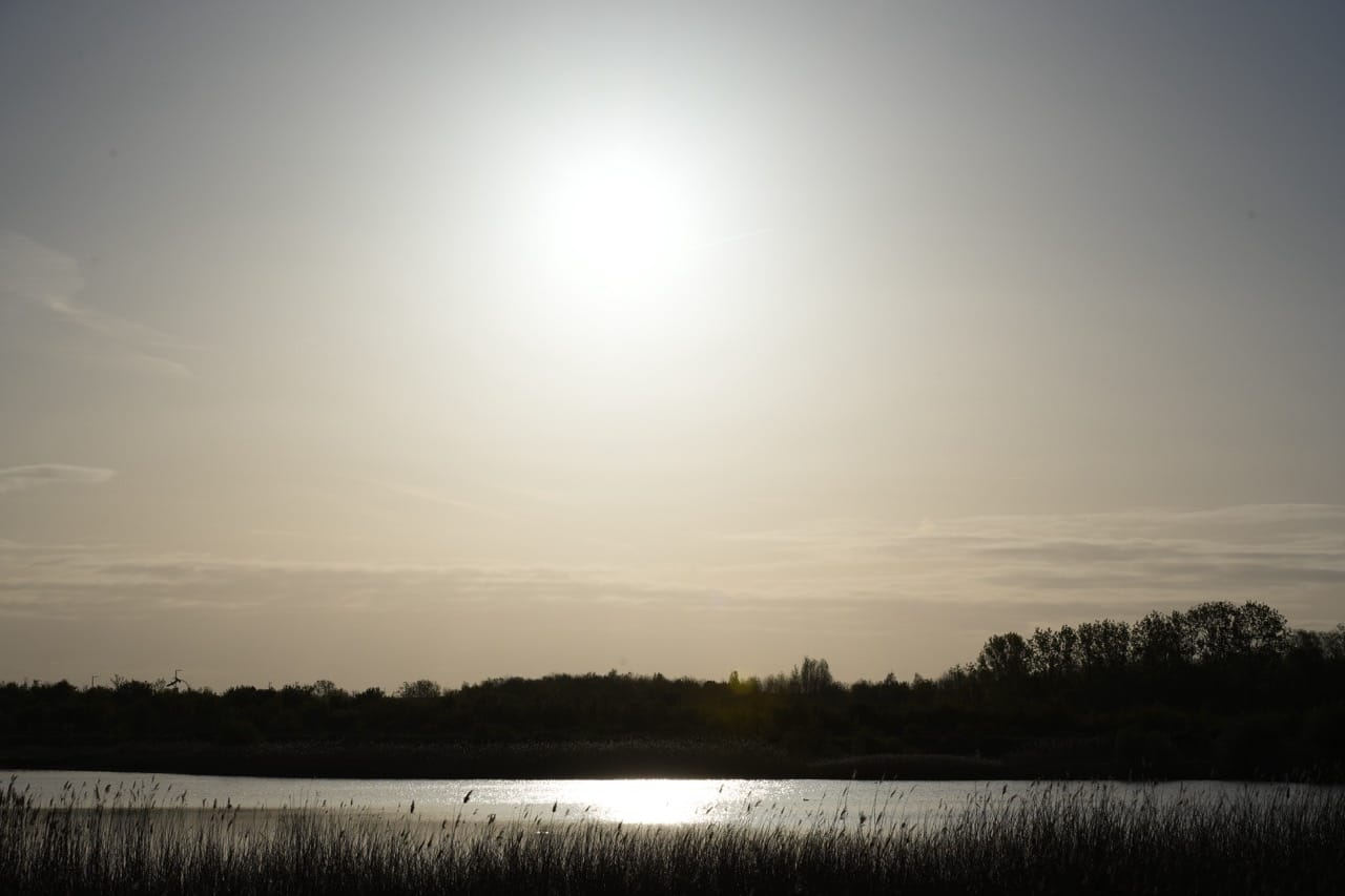 Lake Walk