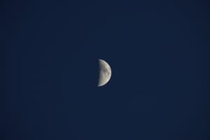 Moonlight