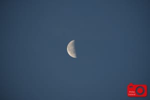 Half Moon