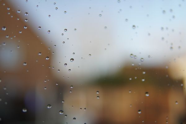 Rain Drops