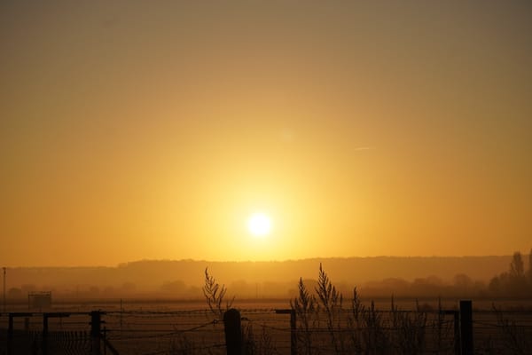 Misty Sunrise