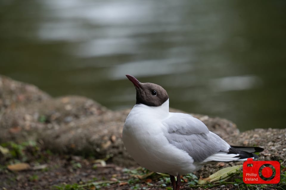 Bedford Embankment